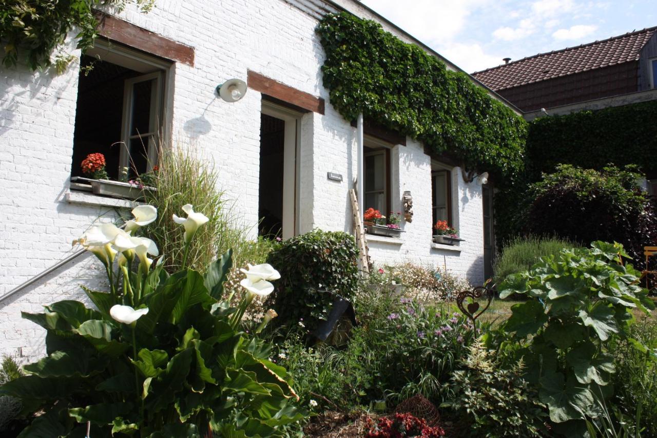 L'Atterrissage Bed & Breakfast Santes ภายนอก รูปภาพ